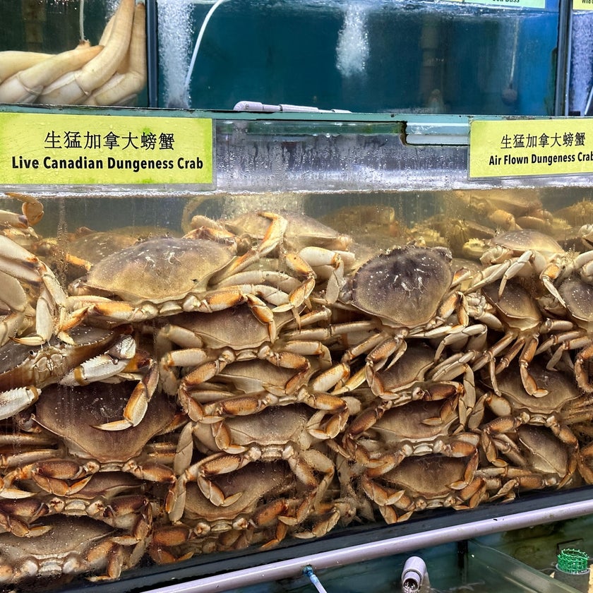 Long Beach Udmc Seafood Restaurant - Chinese Restaurant,Seafood Restaurant - lunch,wine,parking,park,spicy food,outdoor seating,dinner,great value,crab,chili,garlic sauce,good for groups,mango desserts,sea breeze,kailan,creator