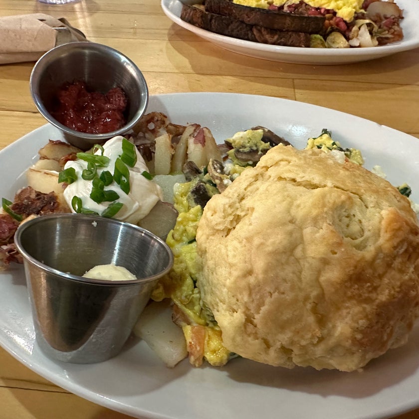 Jelly Cafe - American Restaurant,Sandwich Spot - restaurants,bar,meats,coffee,chicken,breakfast food,fruit,sandwiches,cheese,well,lunch,brunch food,town,espresso,park,city,spicy food,eggs,outdoor seating,books,crowded,great value,bacon,cute,homemade food,pancakes,donuts,onions,lemon,trendy,good for dates,peanuts,French toast,spinach,biscuits,hills,blueberries,flakes,gravy,diner food,hipster,chilaquiles,orange juice,jellies,hash,bears,beets,green chili,Lavender,frosting,sriracha sauce,red peppers,poppy seeds,cinnamon sugar,bright colors,good for singles,haco benedict,molly hot brown