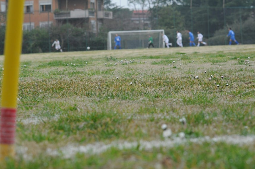 soccer-field