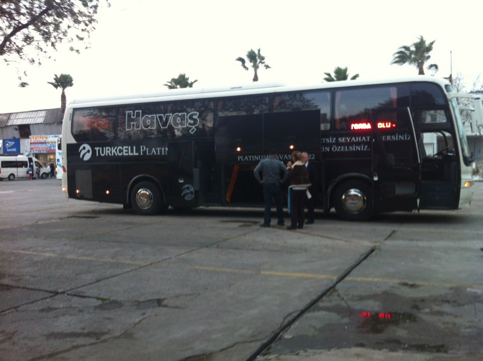 bus-line