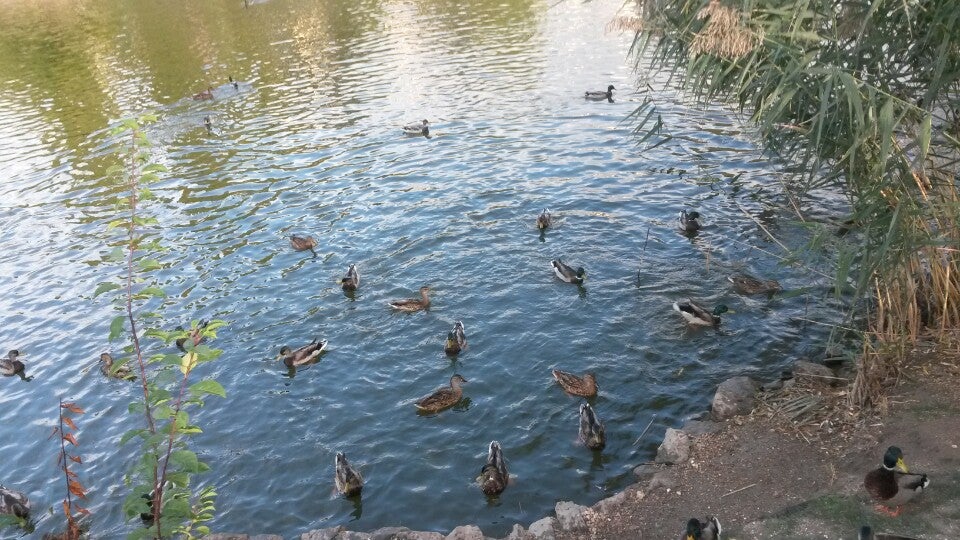 lake