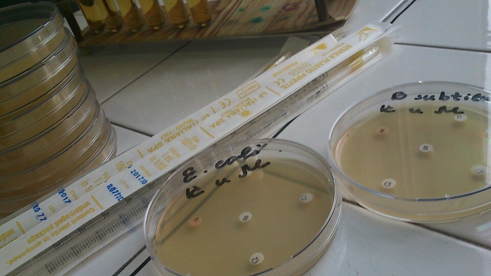college-science-building