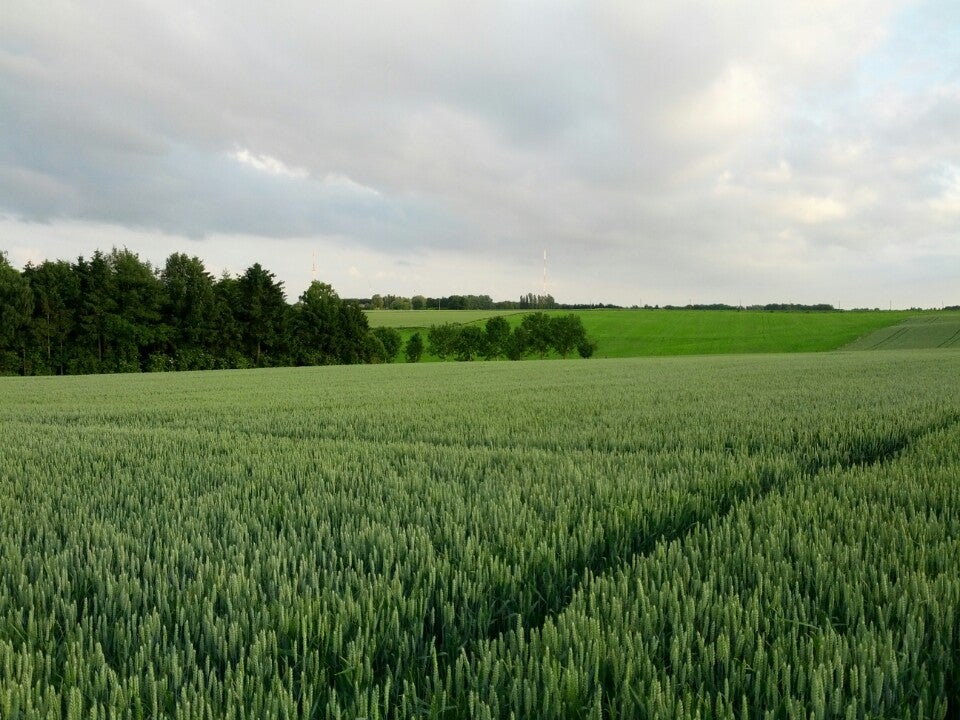 trail