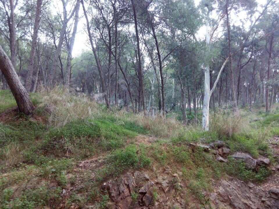 trail