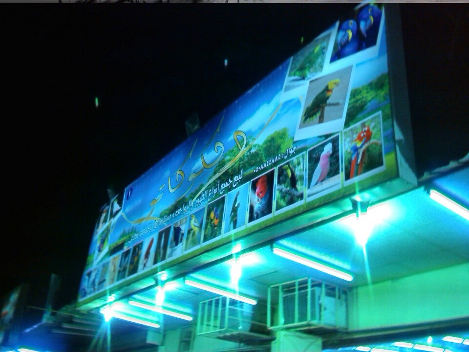 Al Kokato (الكوكاتو)