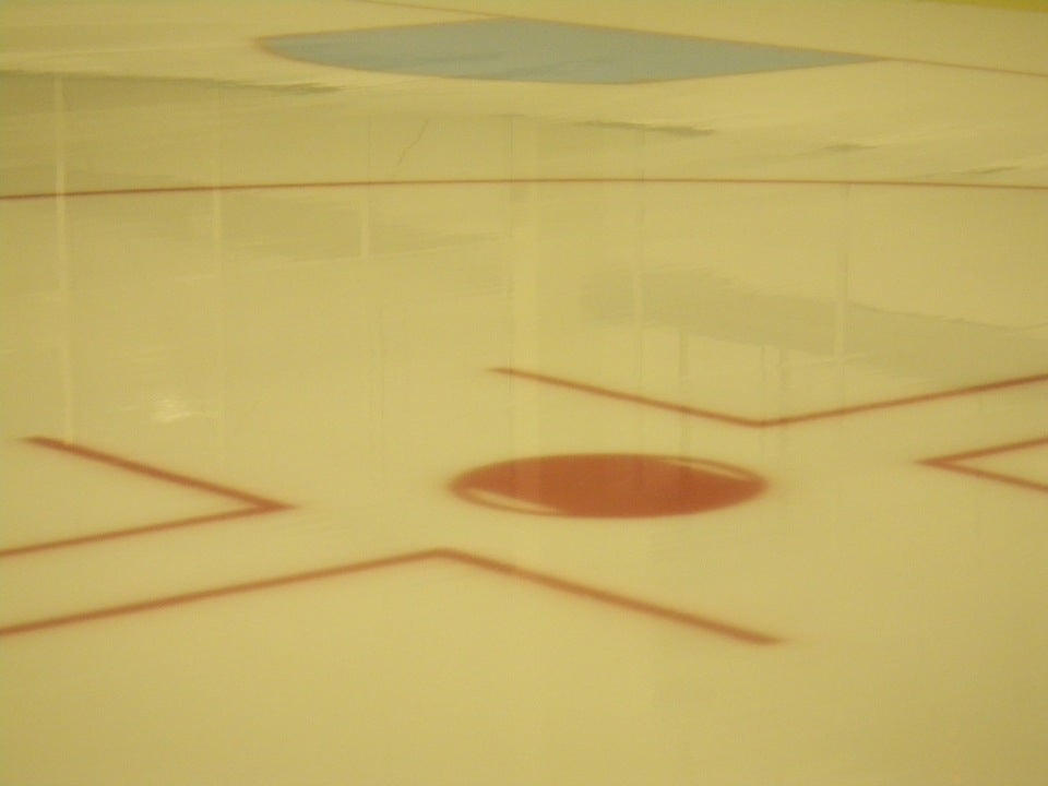 Sharks Ice - North Rink