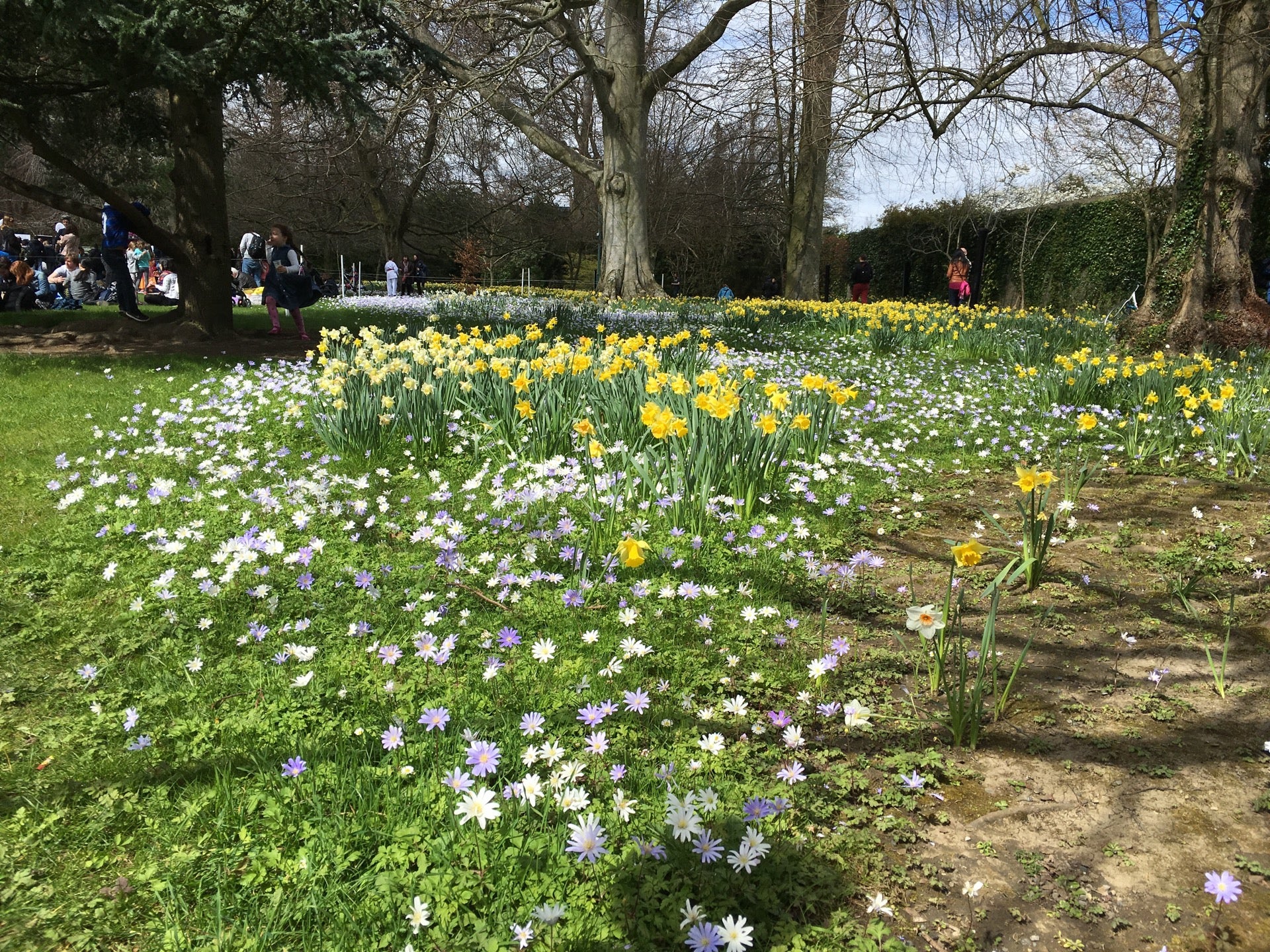 Farmleigh House & Estate 6