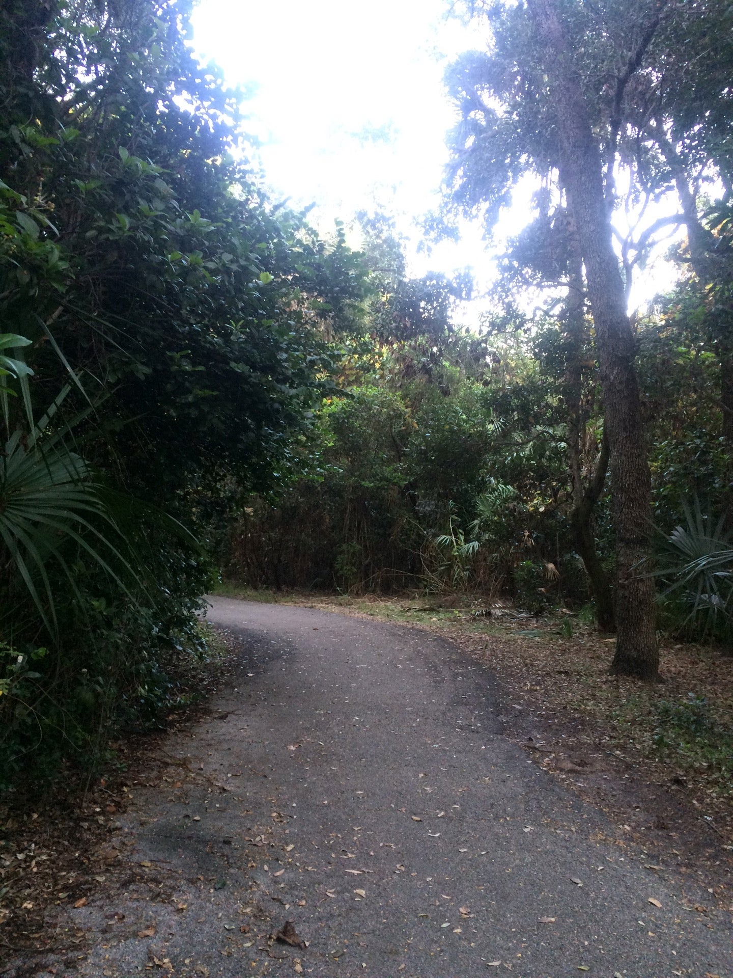 Enchanted Forest Elaine Gordon Park NE 135th Street North Miami