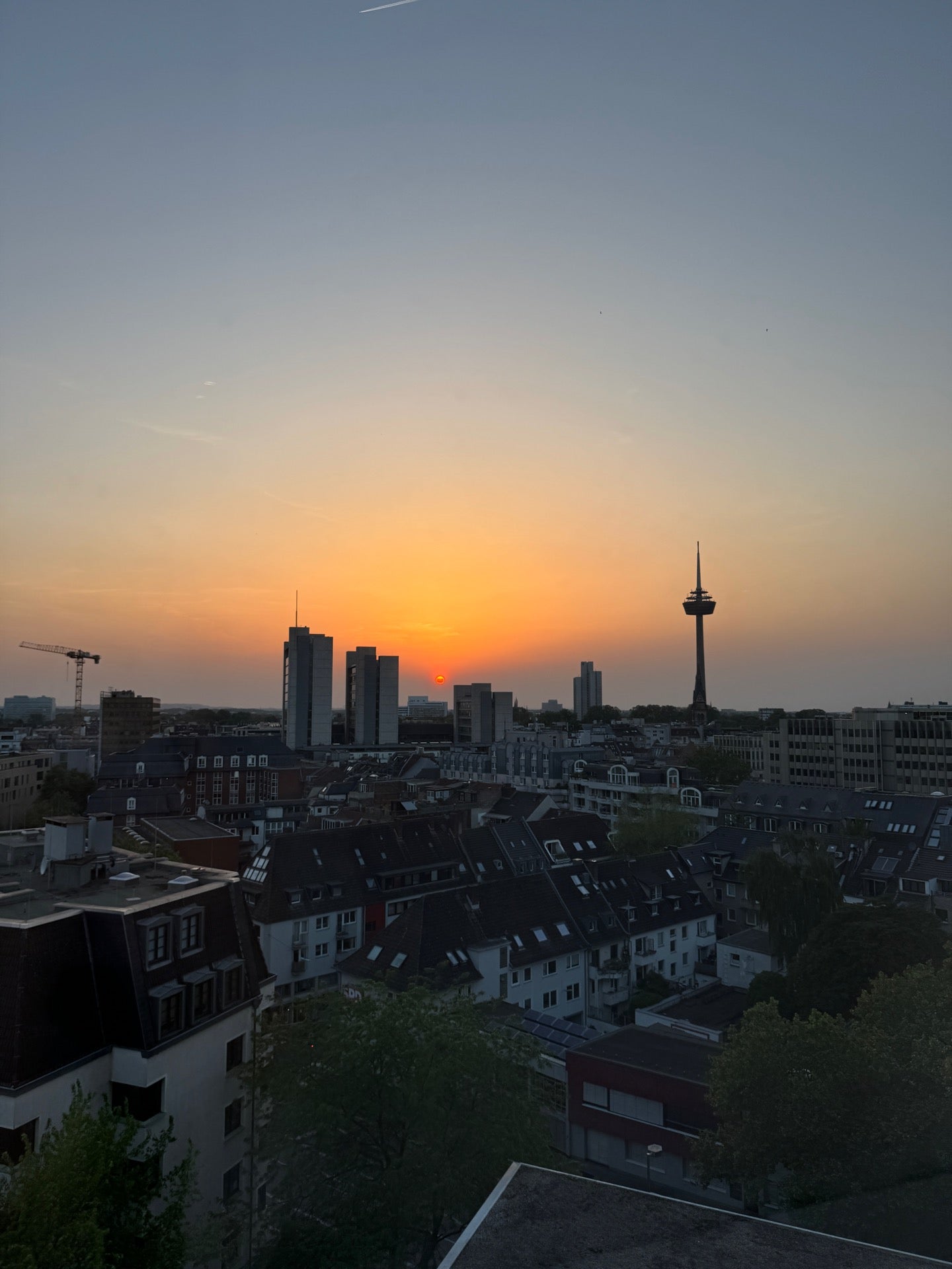 Pullman Hotel Cologne - Cologne bar