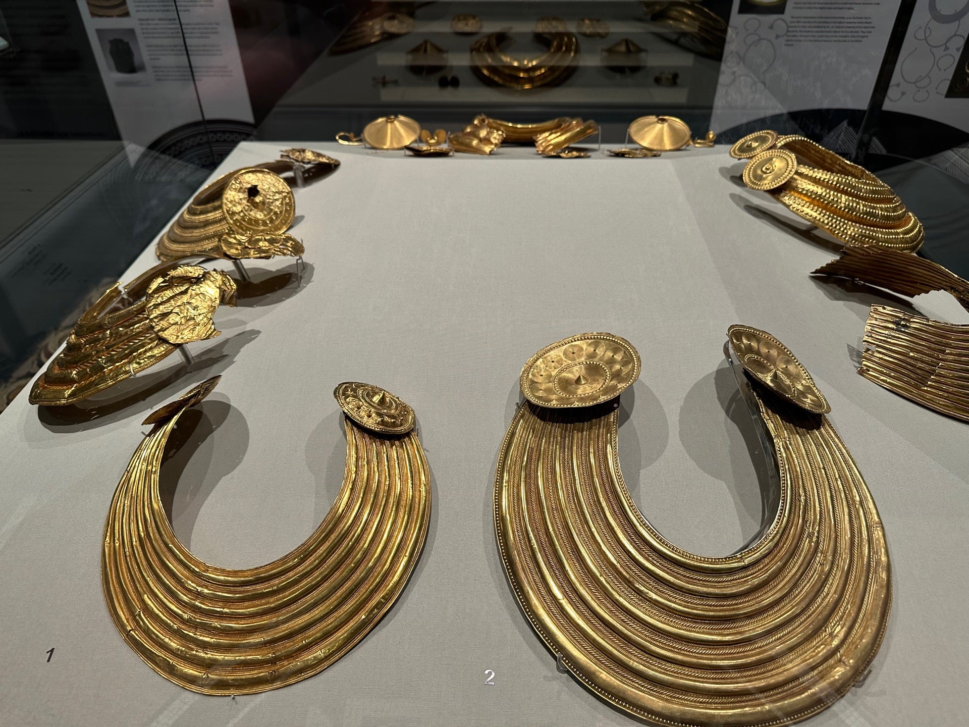 National Museum of Ireland - Kildare Street 6