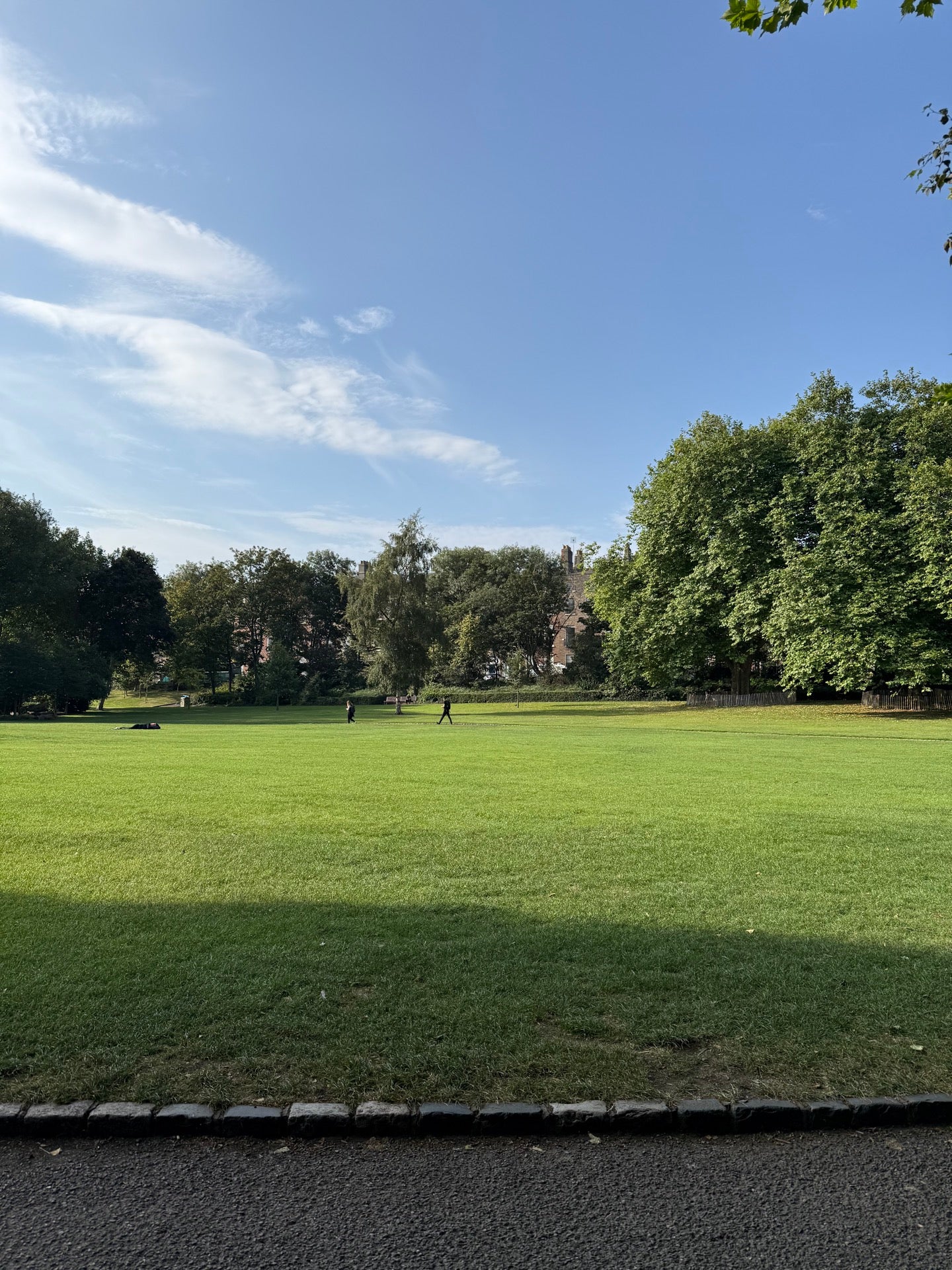 Merrion Square Park 5