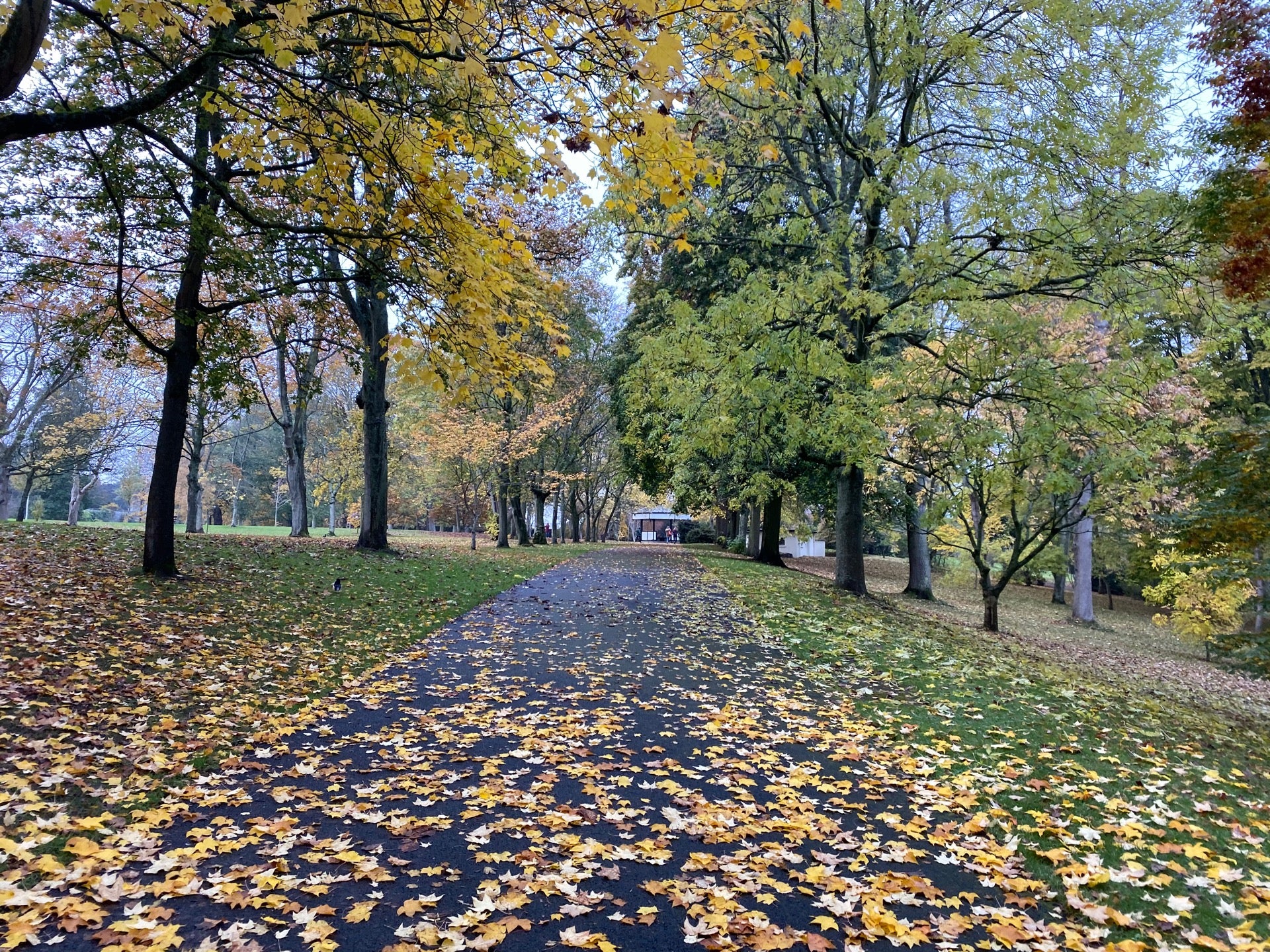 National Botanic Gardens 10