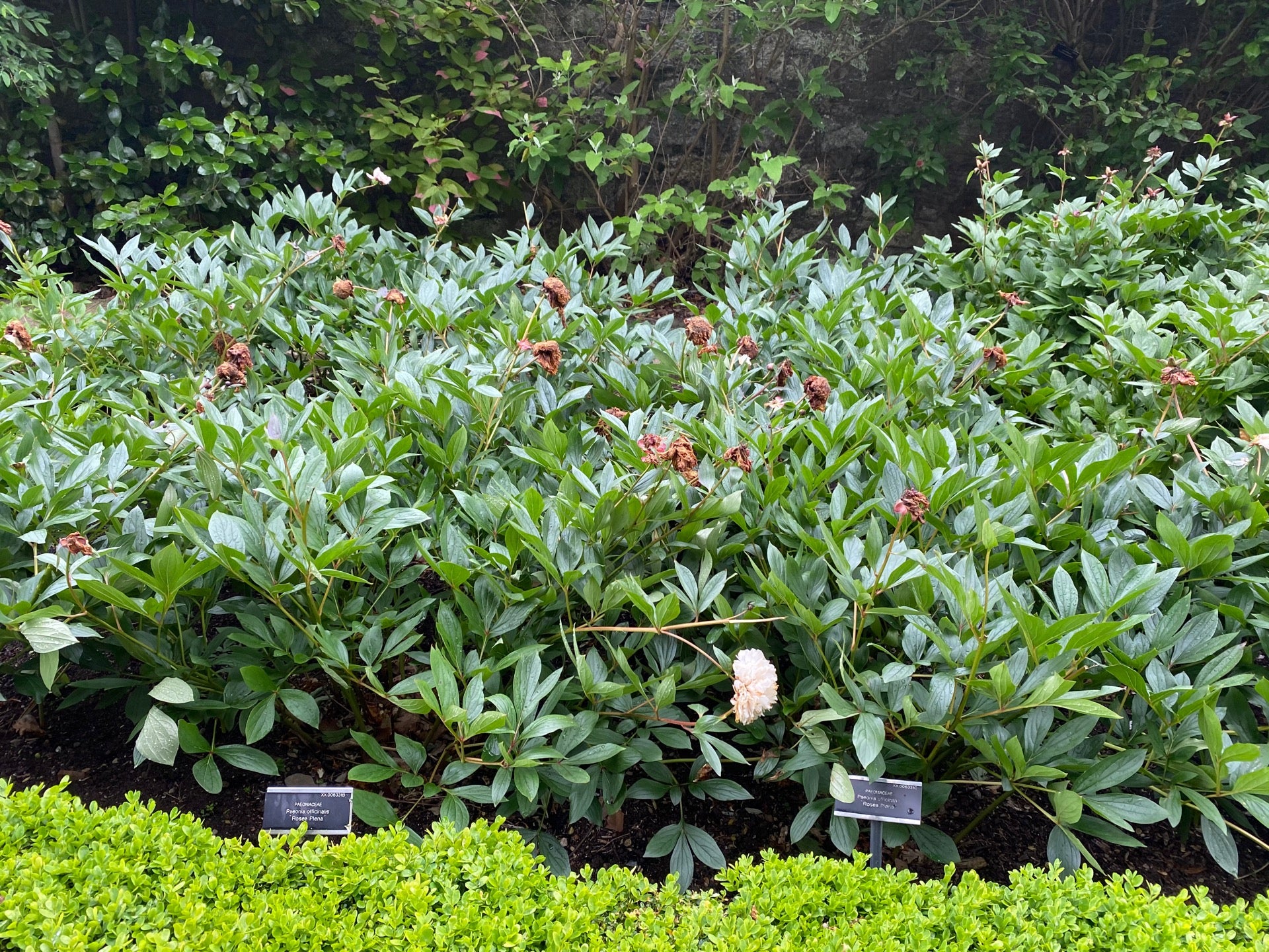 National Botanic Gardens 4