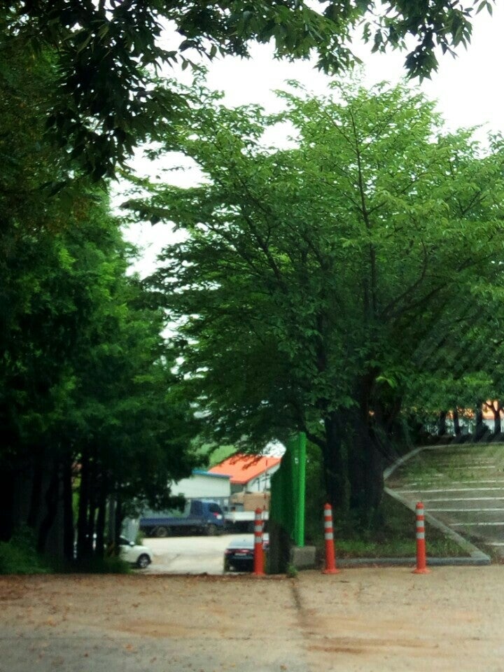 경기도 유도회관