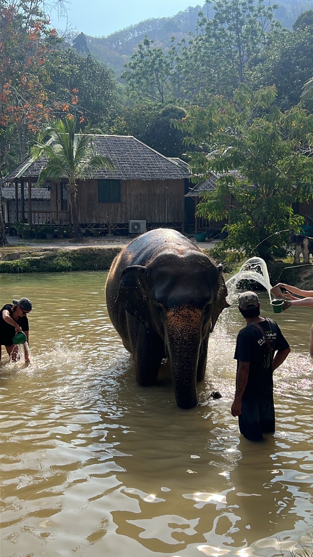 Green Elephant Sanctuary Park in Phuket, Thailand
