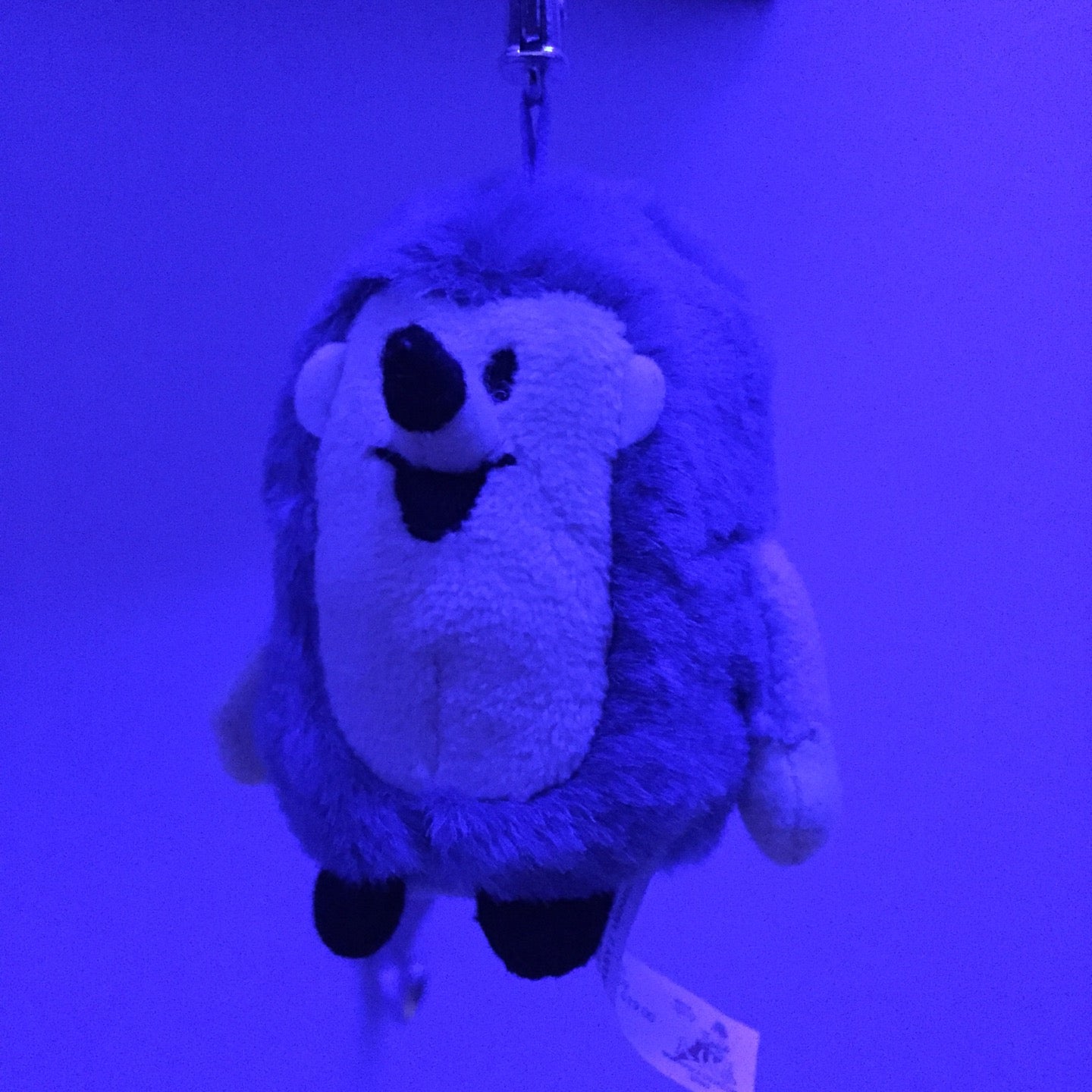 Deluxe toilet - photo 1 showing the facility