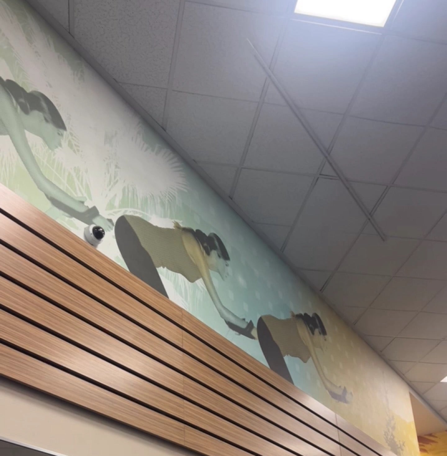 LA Fitness cover photo