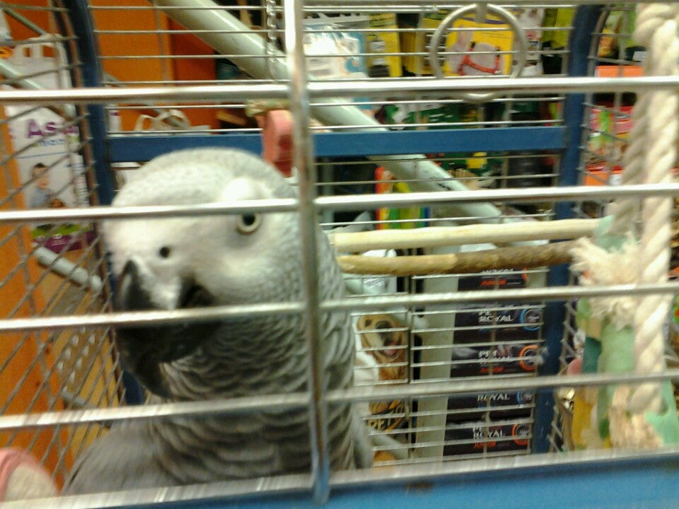 Obchodní centrum Čakovice - photo 5 showing the facility