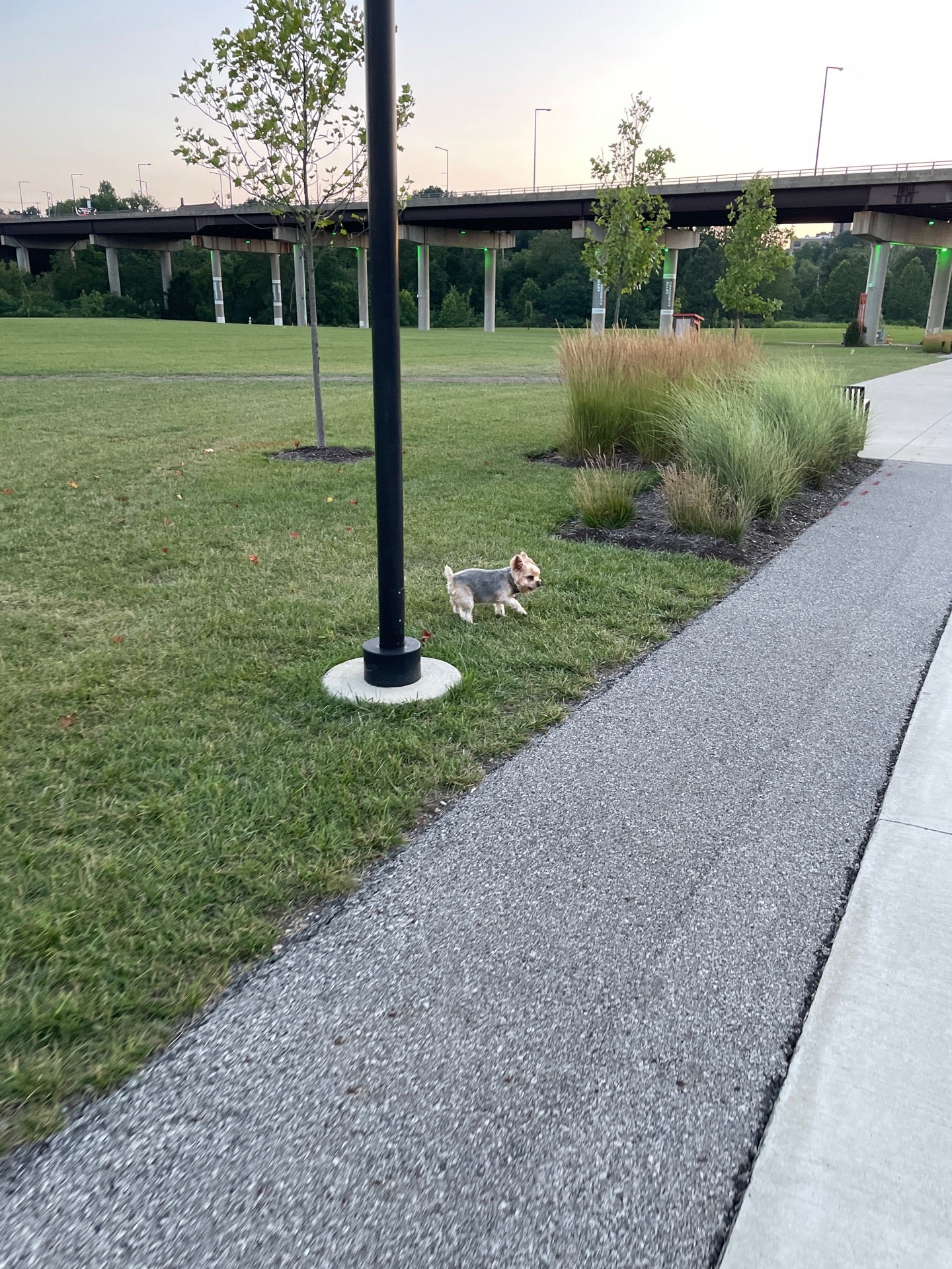 The Youngstown Foundation Amphitheatre