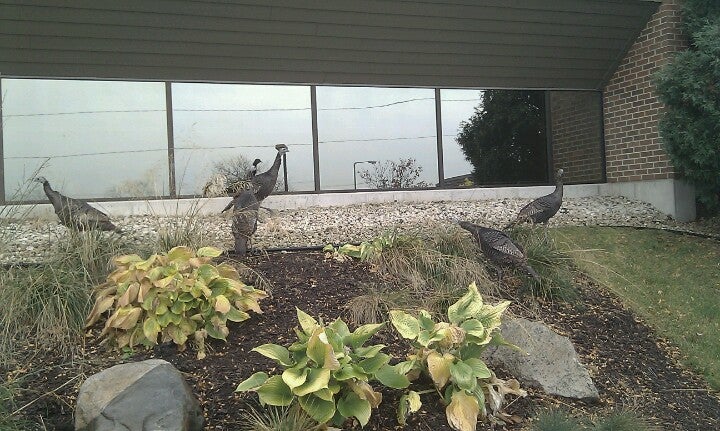 Rem - Wisconsin Logo