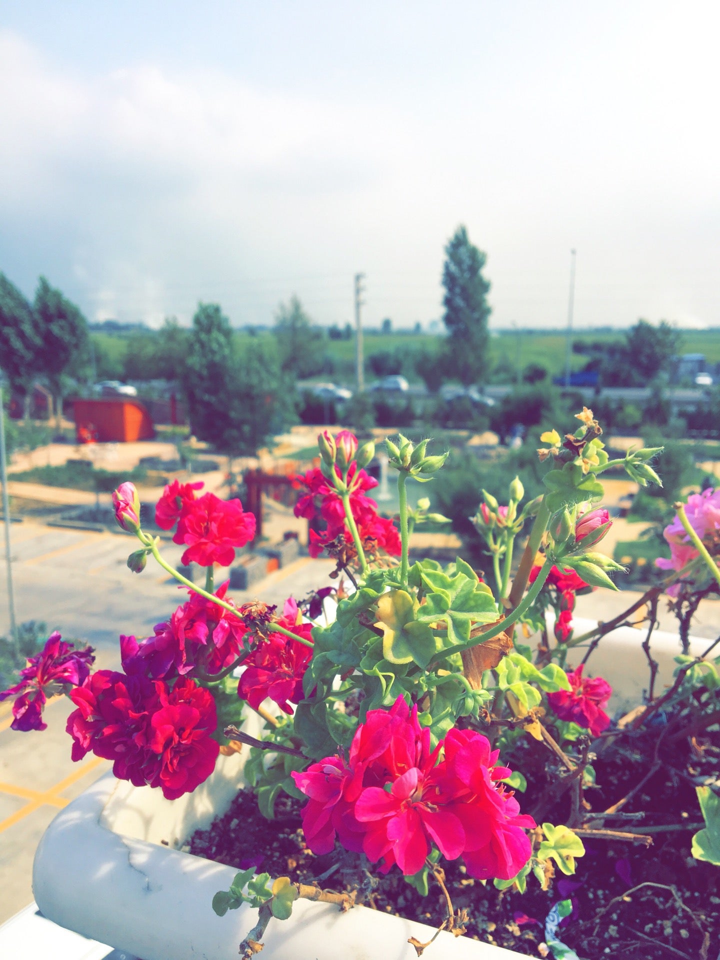 Mizban Traditional Restaurant