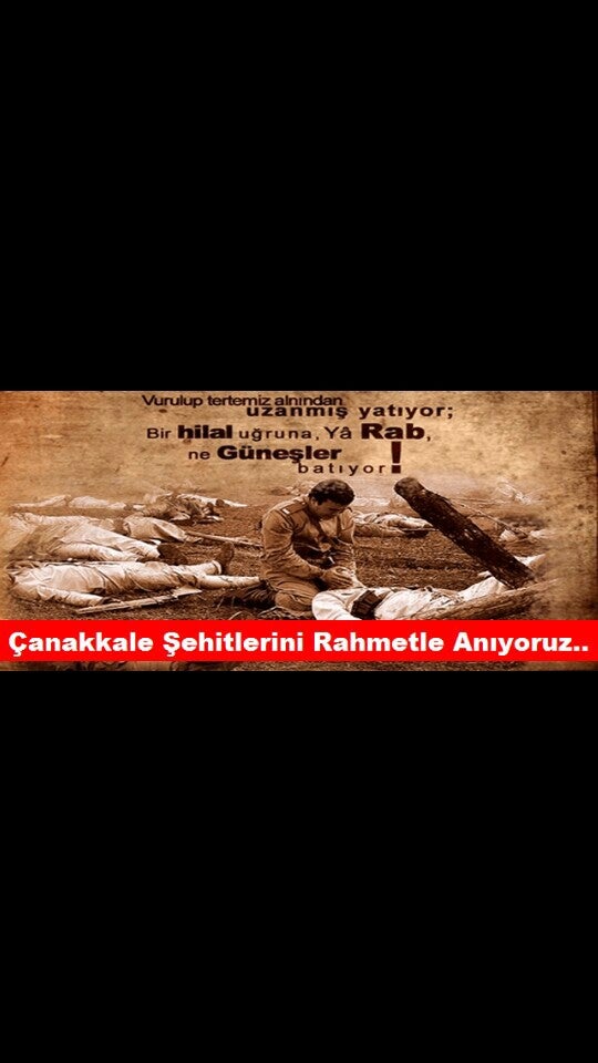 Safir Kolltuk Iskelet