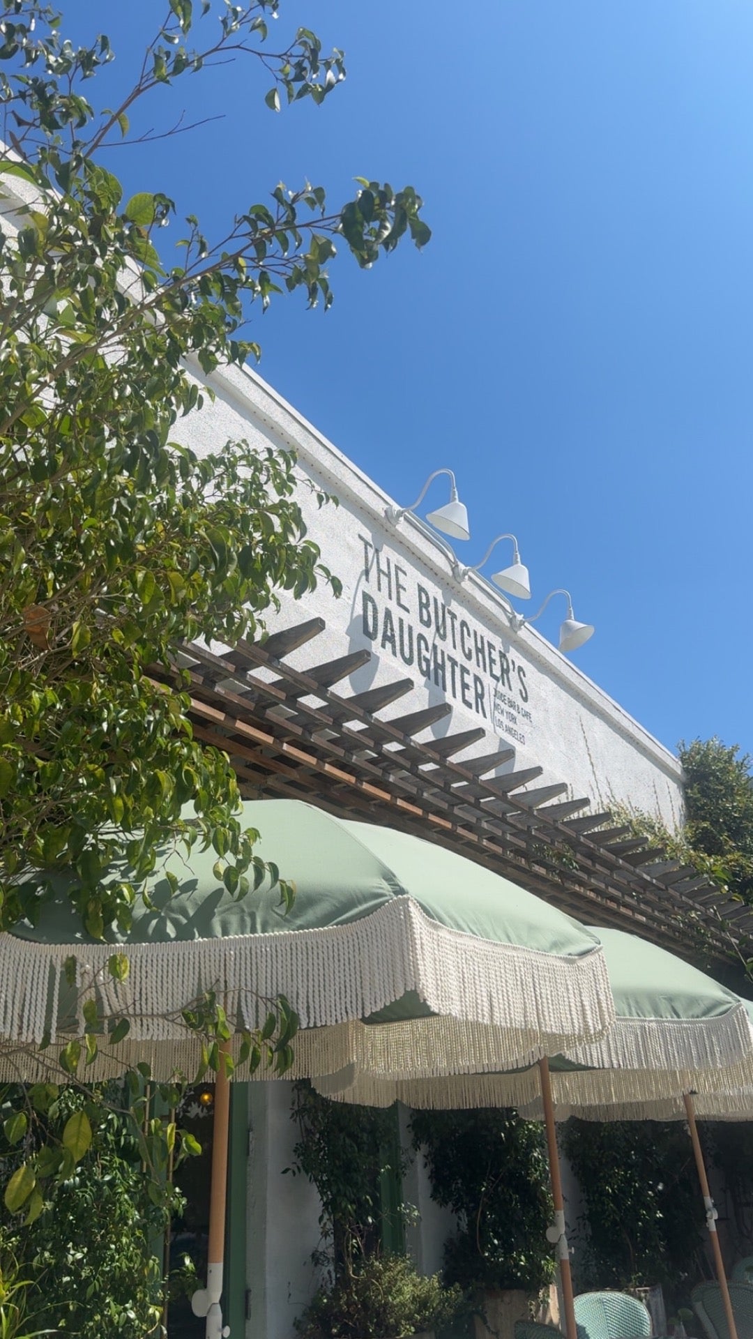 The Butcher's Daughter cover photo