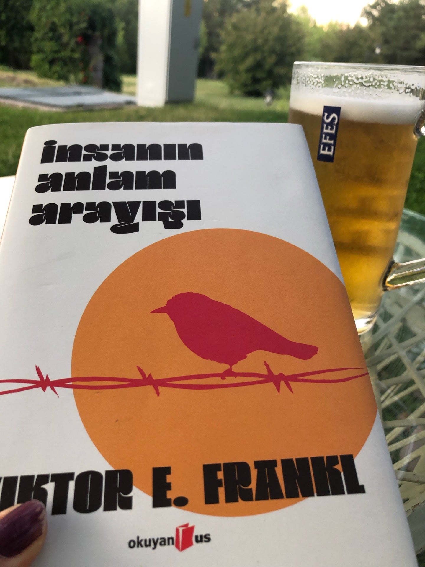 Merkez Orduevi Menekşe Restaurant Logo