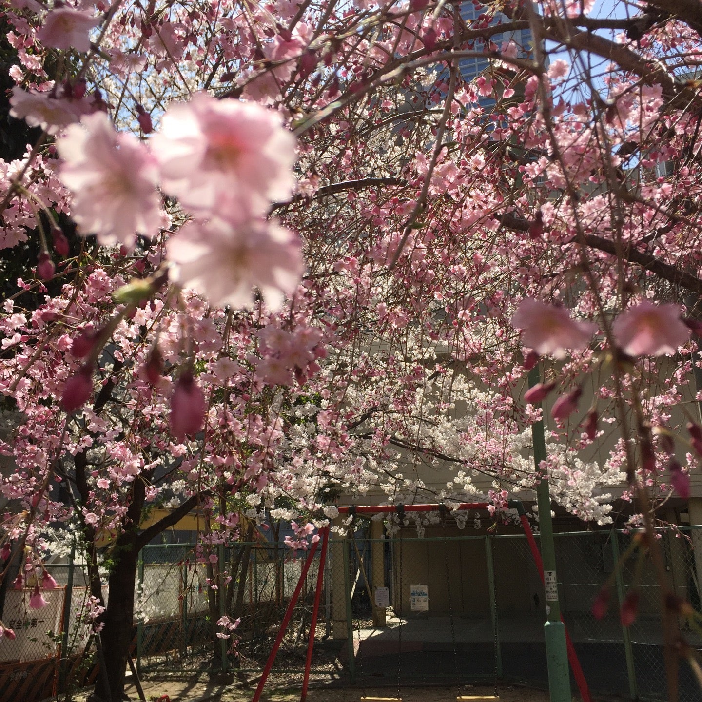 小野八幡公園 Logo