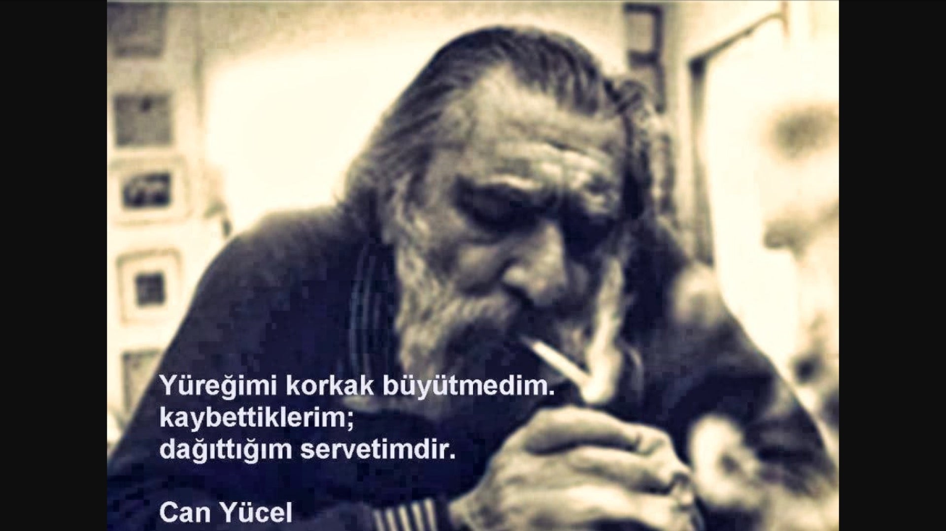 Besin Cevizli Serince Logo