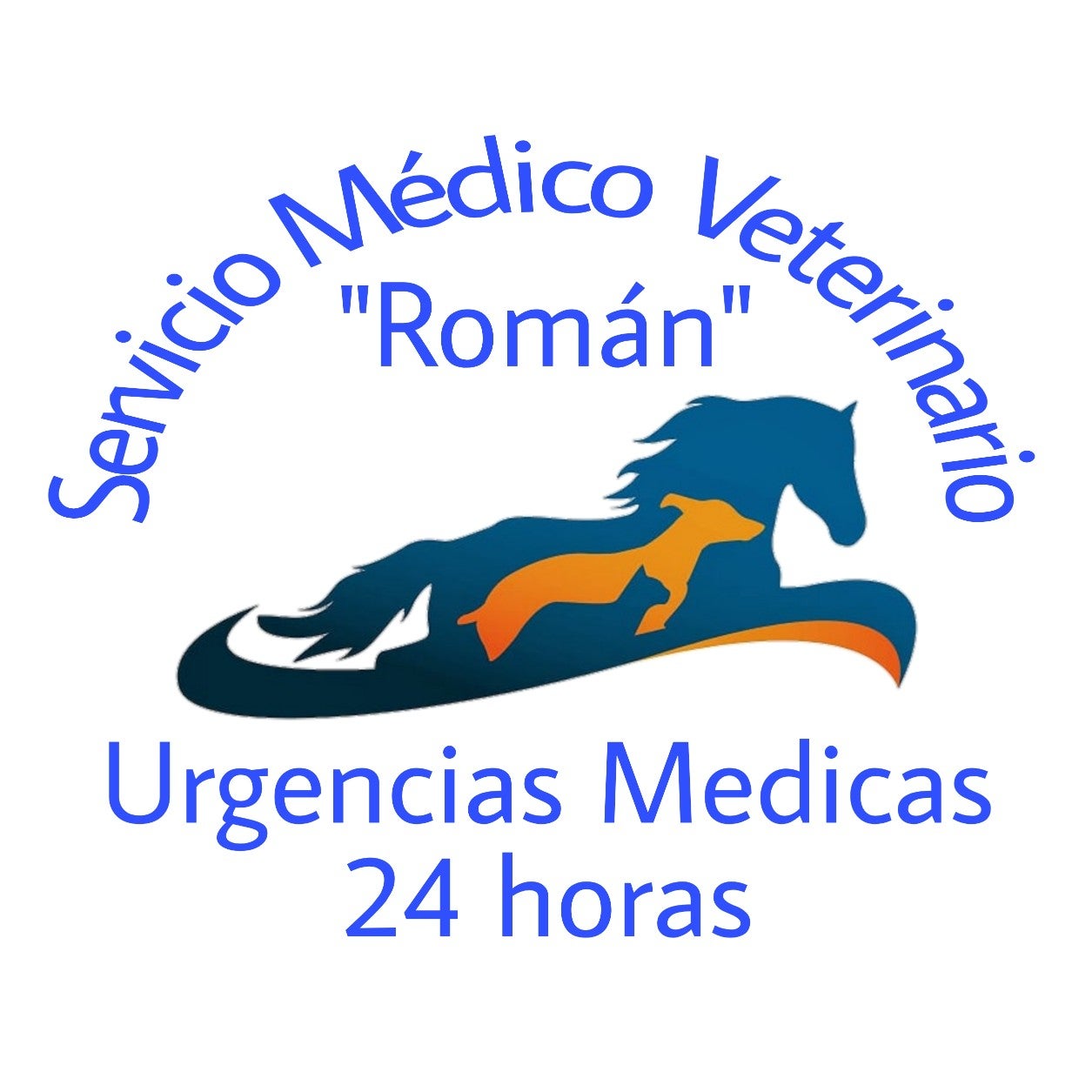 Servicio Medico Veterinario Román