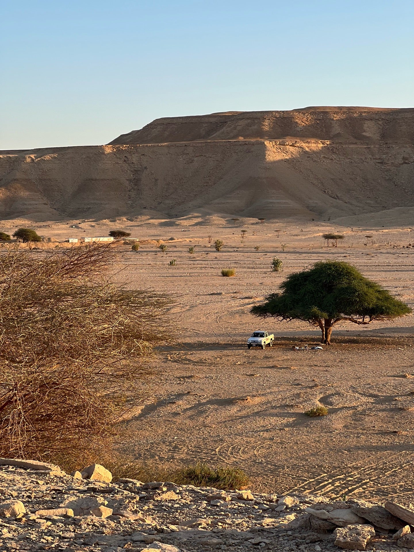 شعيب المجهوله