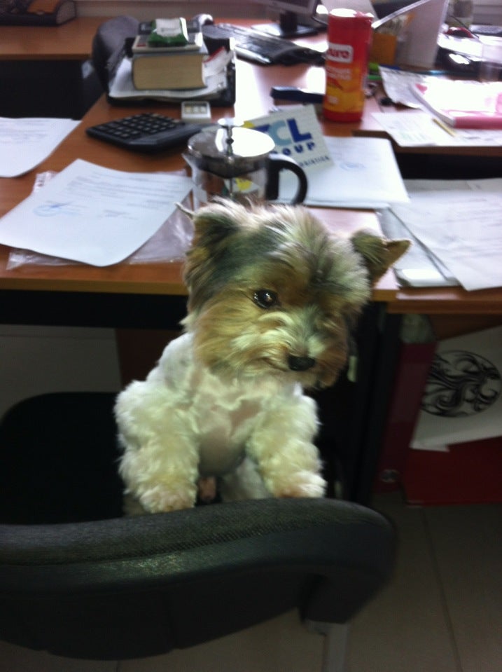 Тсл-Сервис Logo