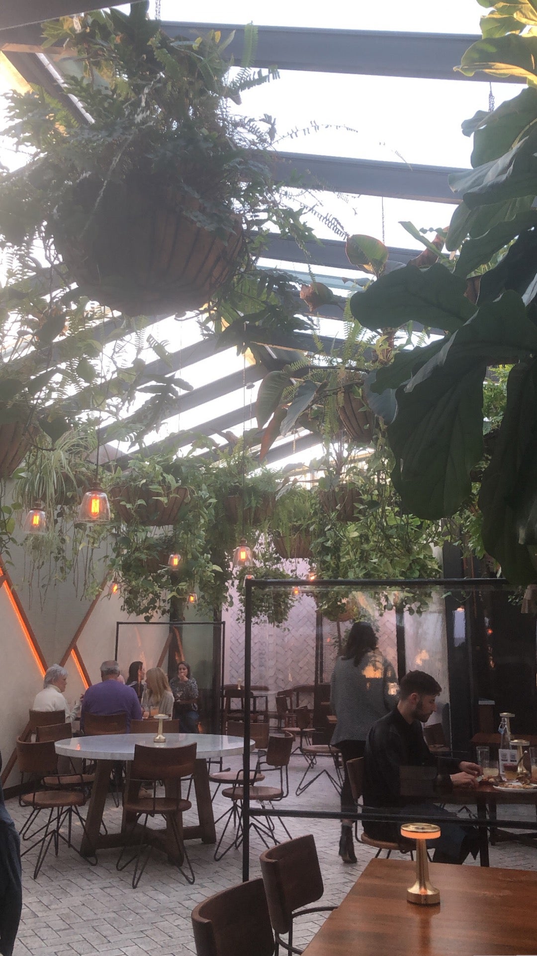 Rosaliné cover photo