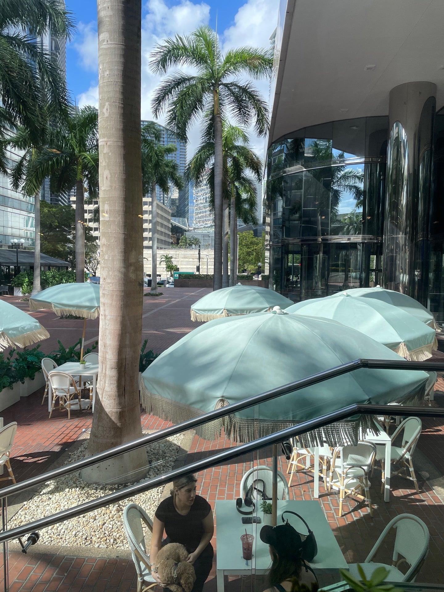 Pura Vida Miami, a local business in Miami