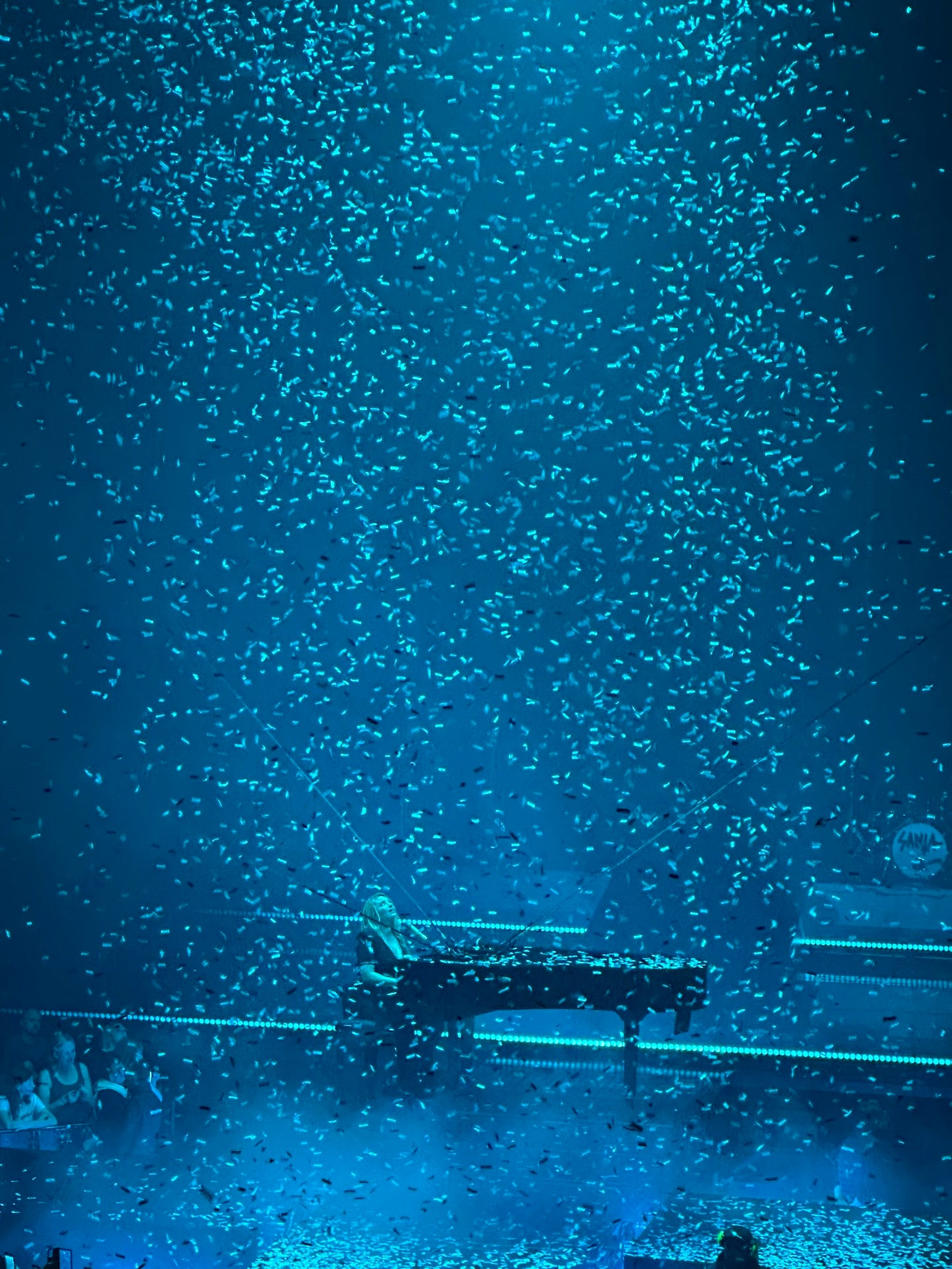 Zénith Arena - Lille bar