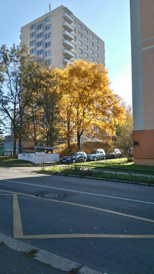 Zatáčka - photo 2 showing the facility