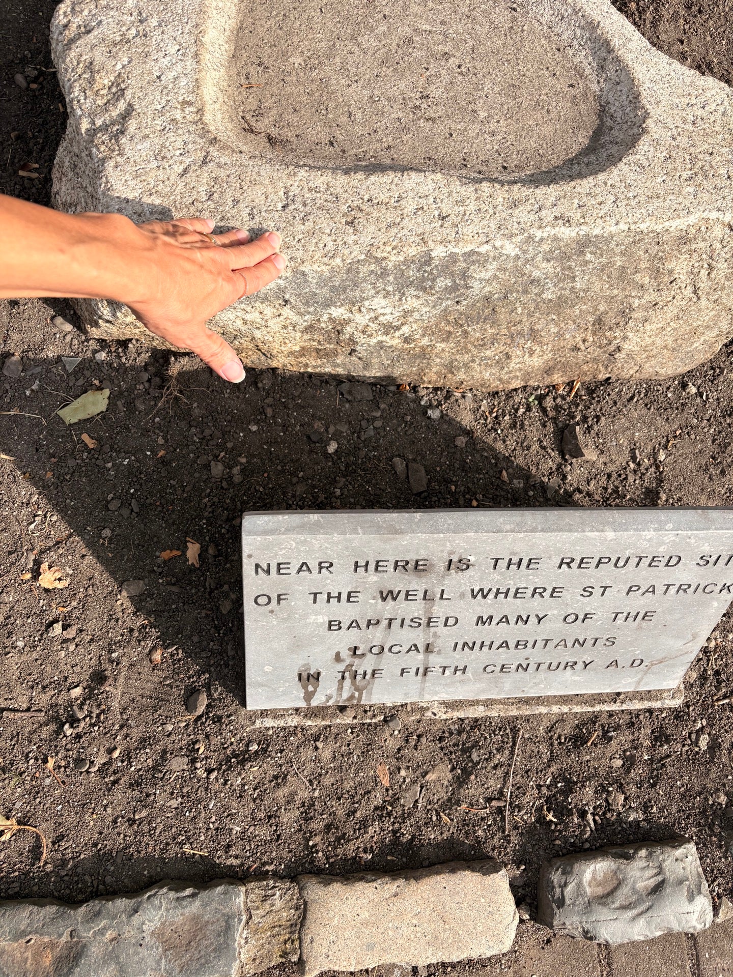 St Patrick's Cathedral 3