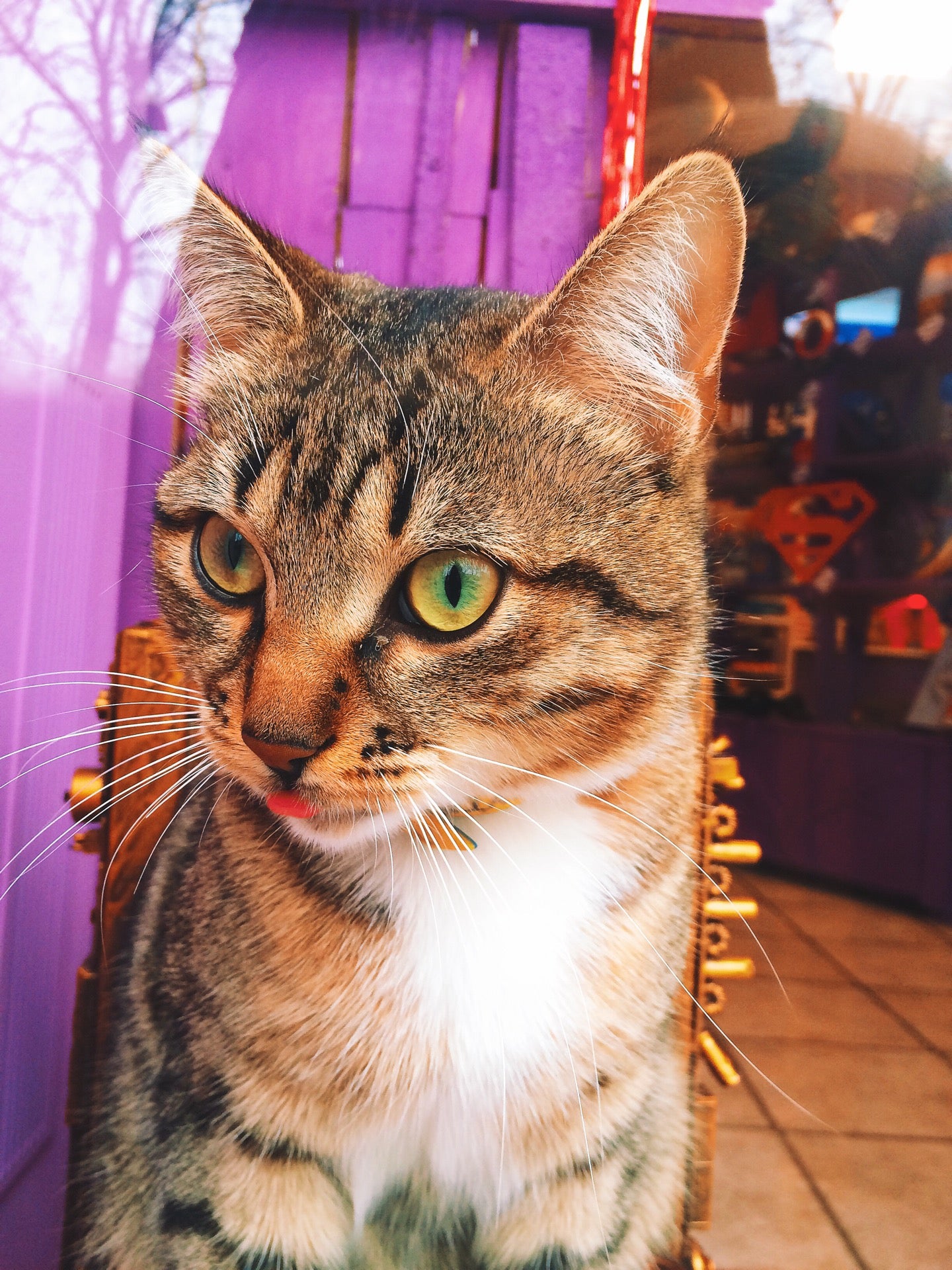 Подари Удиви. Бюро Находок Logo