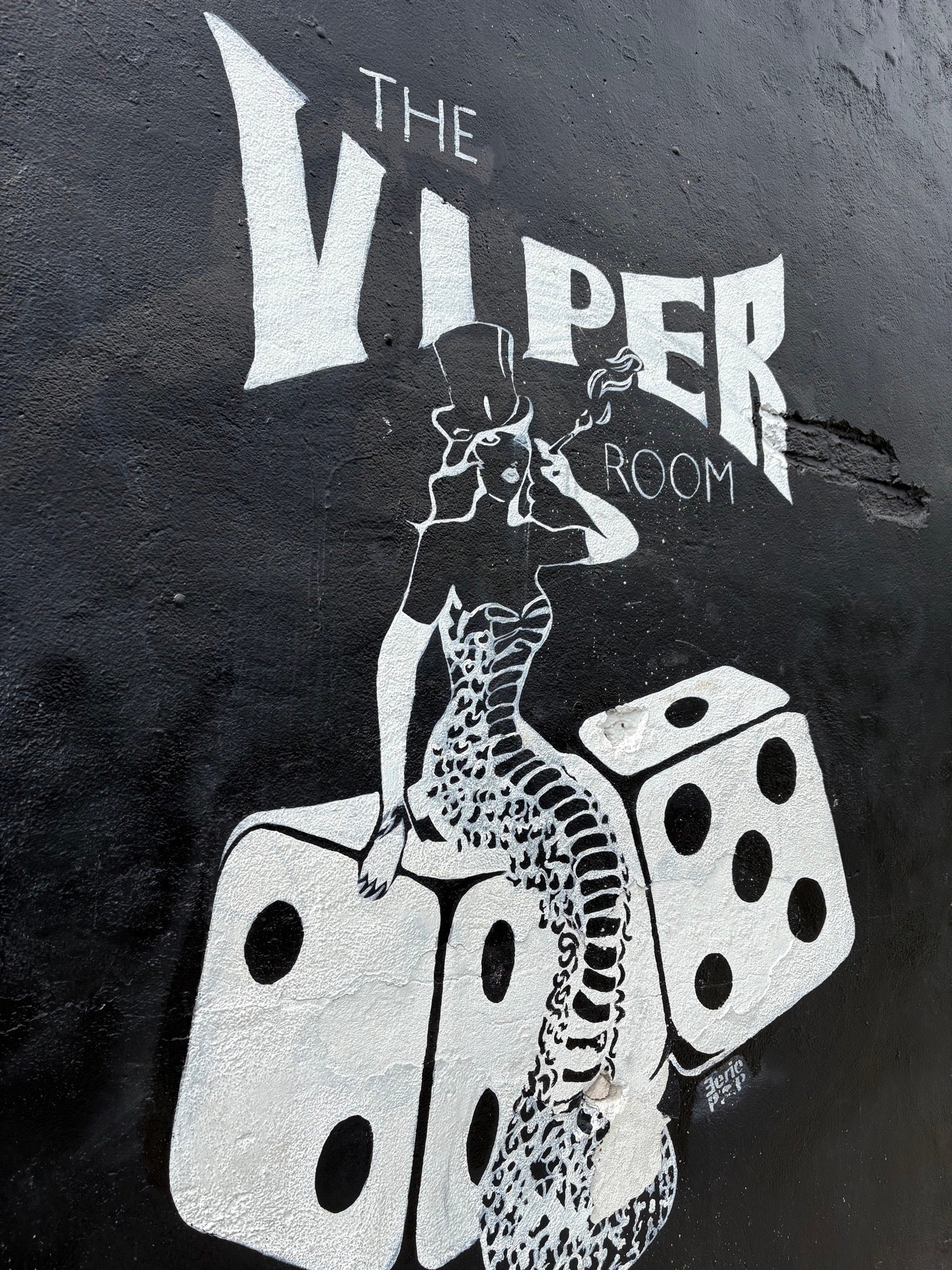 The Viper Room cover photo