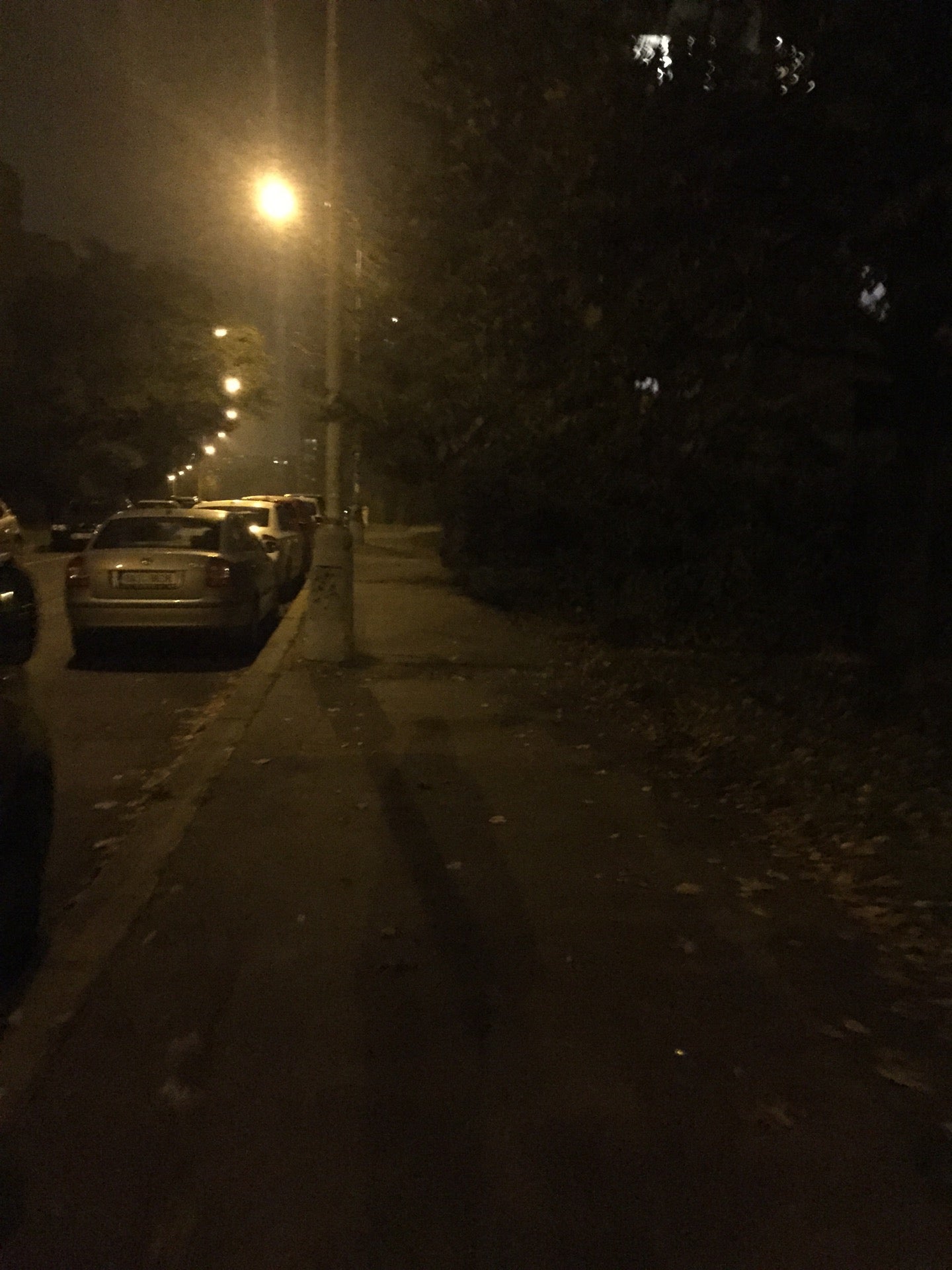 Tylova čtvrť - photo 3 showing the facility