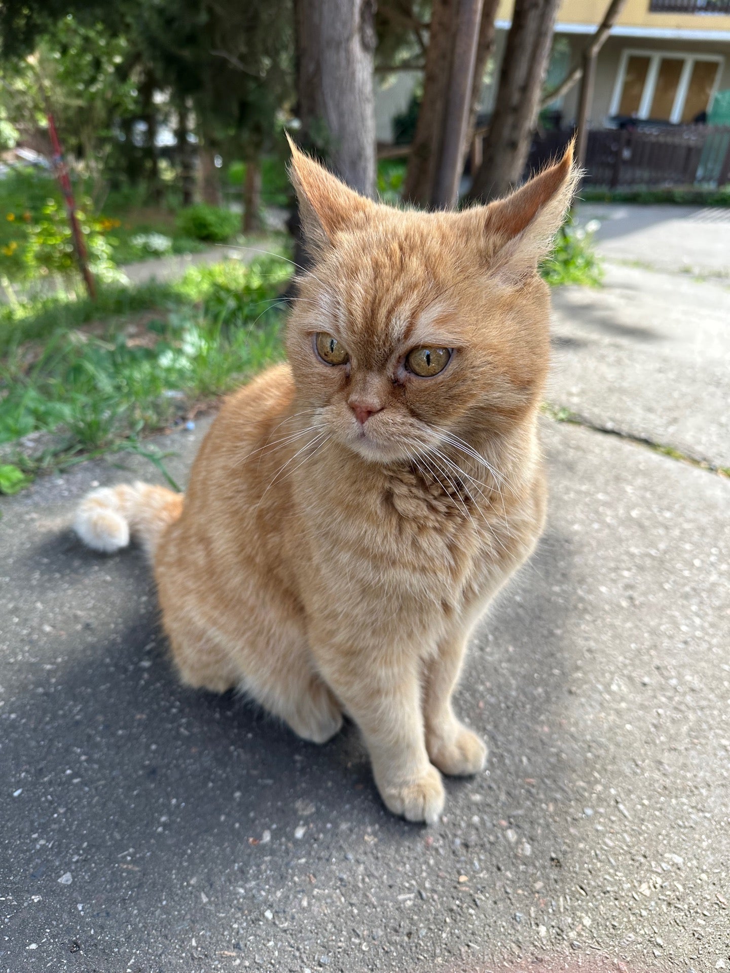Na Staré cestě - photo 1 showing the facility