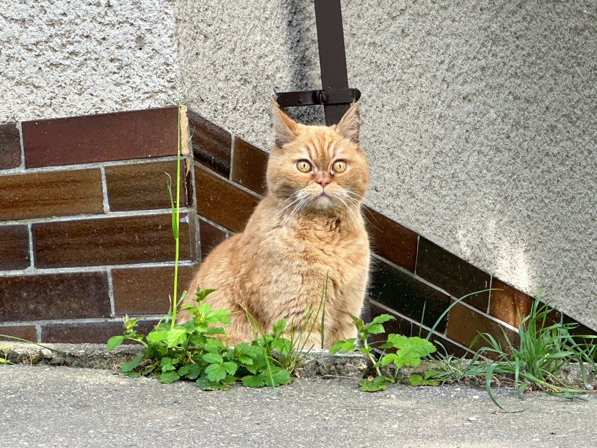 Na Staré cestě - photo 2 showing the facility