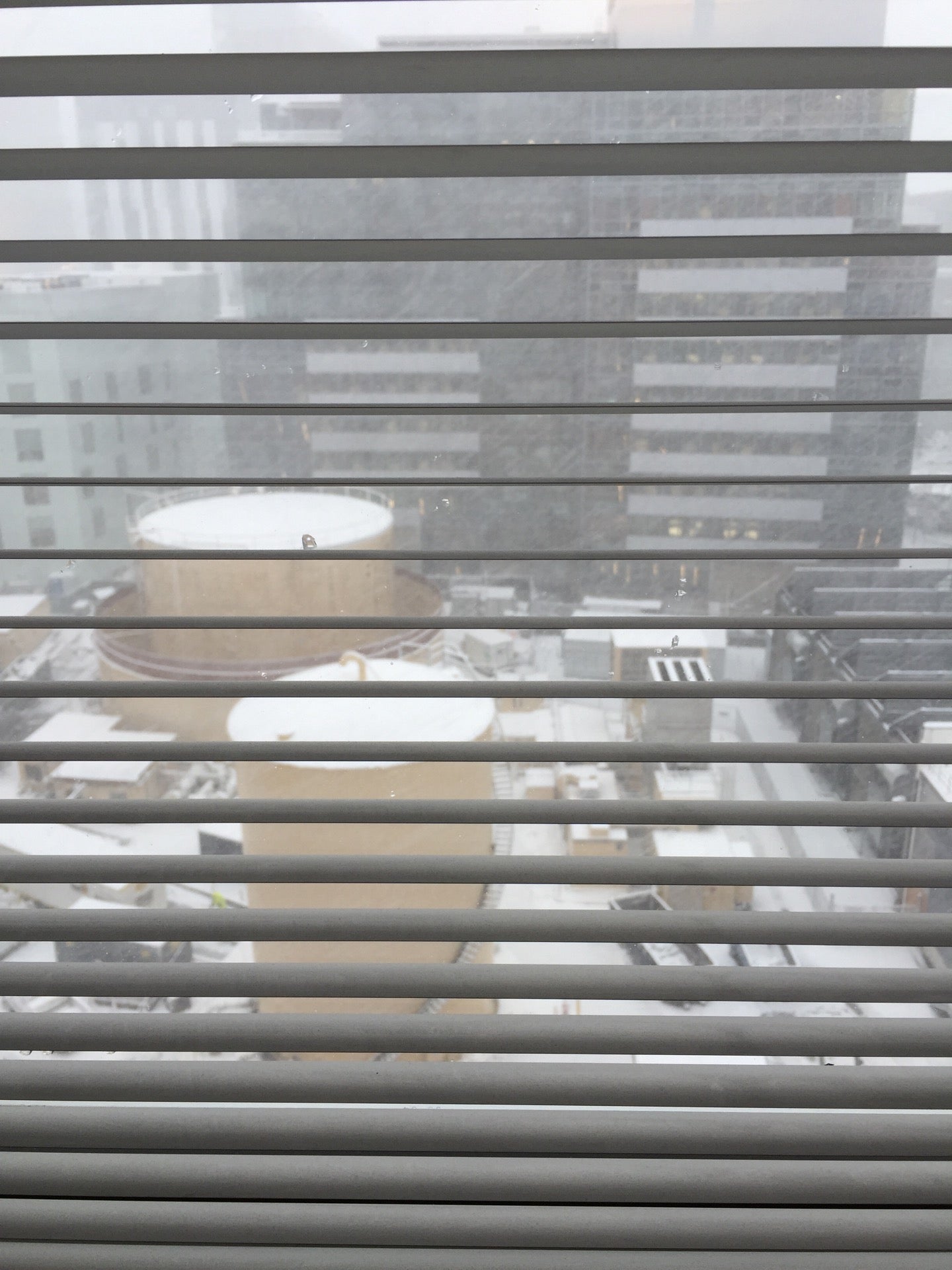 Cambridge Biomarketing