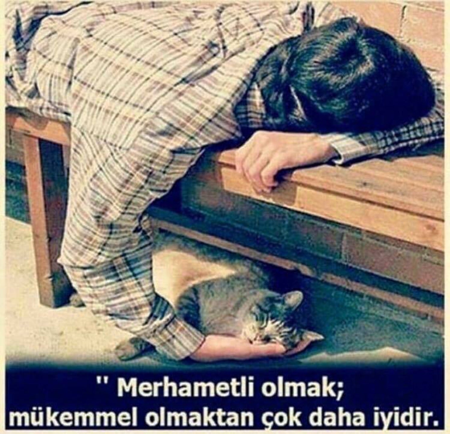 Δημοτική Τηλεόραση