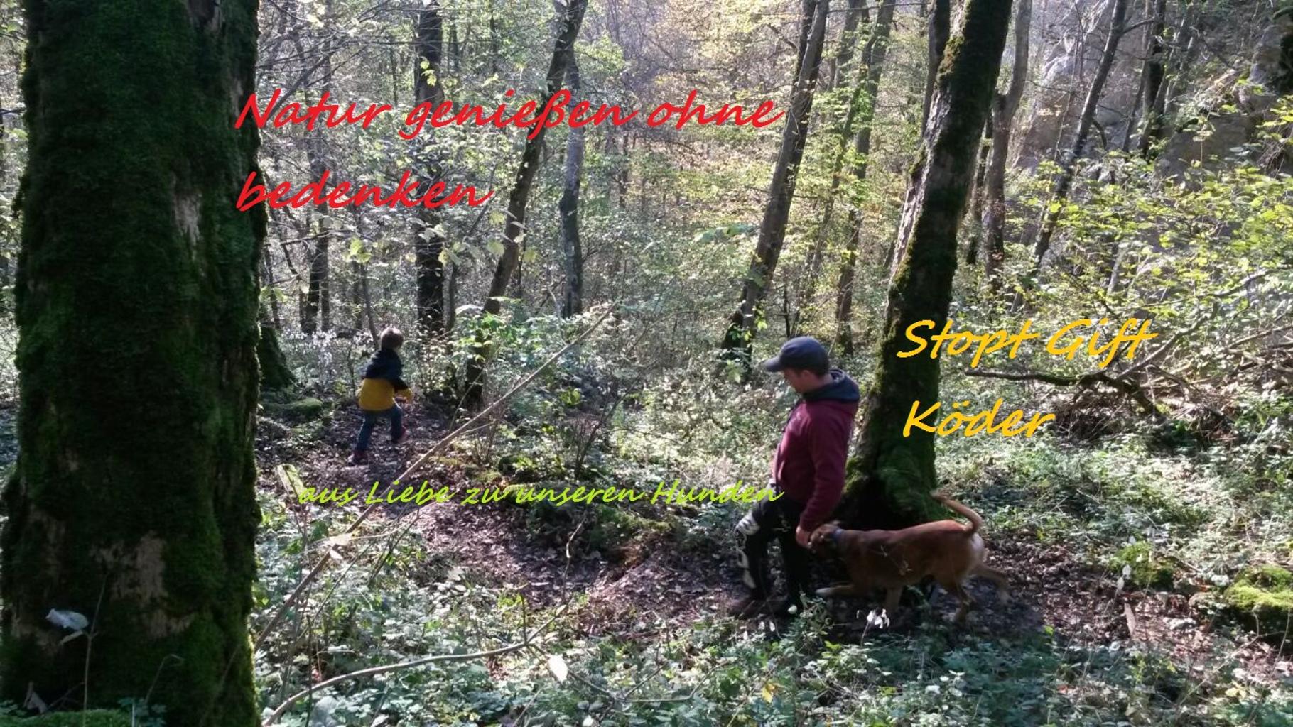 Hundeschule Stefan Pagels