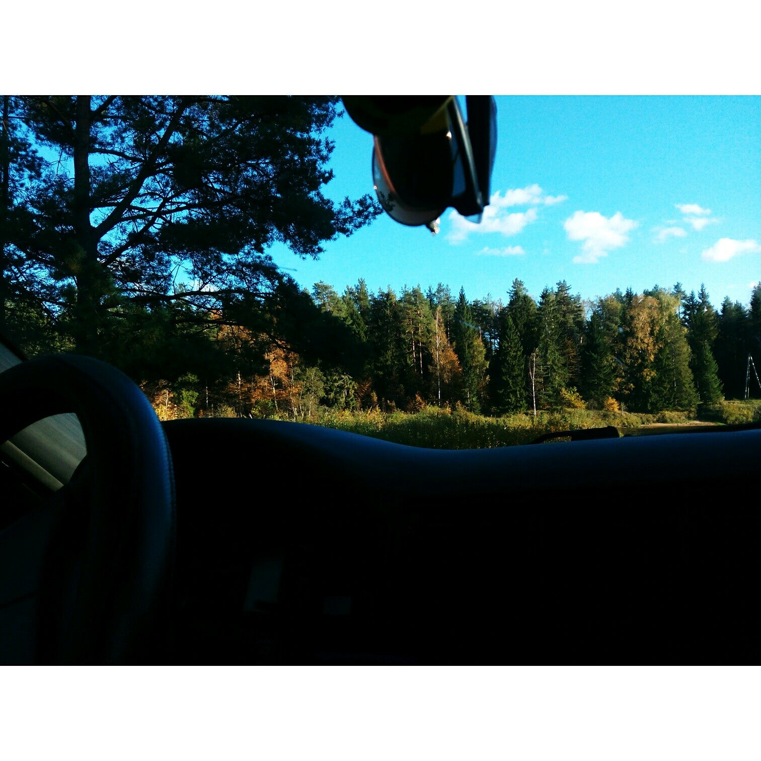 Mūzikas Skola 🎶👍