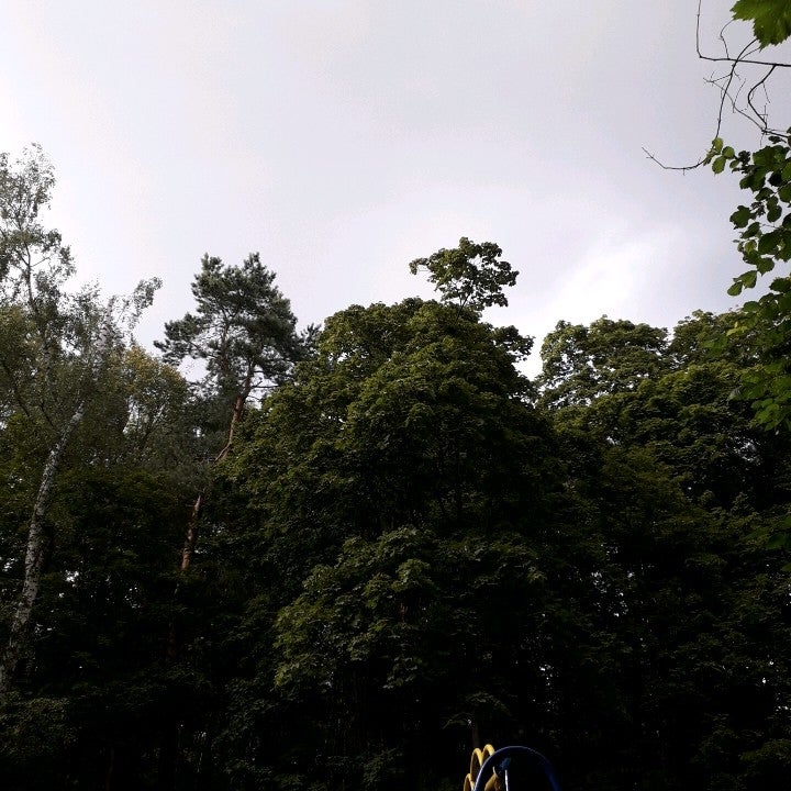 Парк Двенадцати Лучей Logo