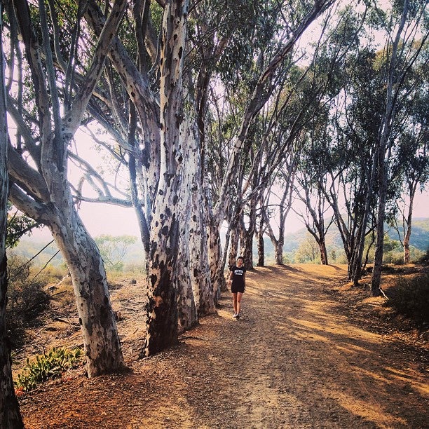 Will Rogers State Historic Park, Pacific Palisades, CA