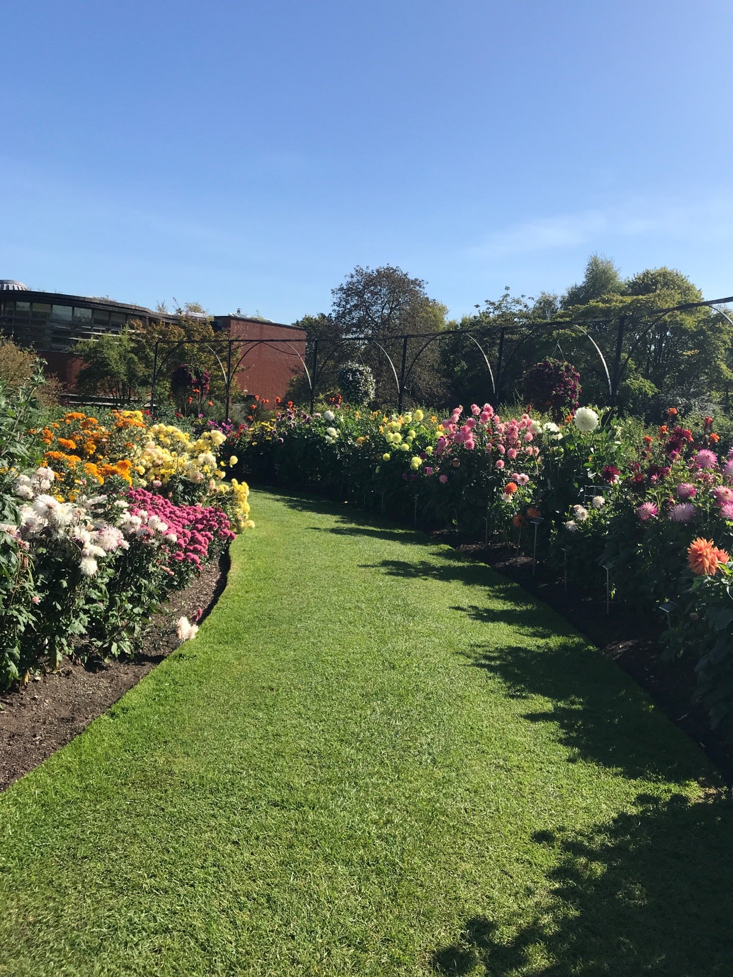 National Botanic Gardens 13